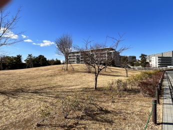 谷津奏の杜公園
